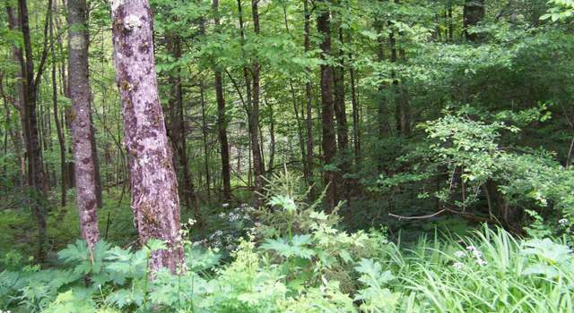 Photo of 403 Fiske Rd, Rochester, VT 05767