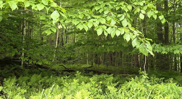 Photo of 0 Sumner Rd Lot 4, Stamford, VT 05352