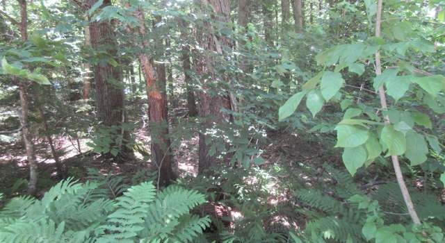 Photo of 40 Ellen Brook Rd, Hillsborough, NH 03244