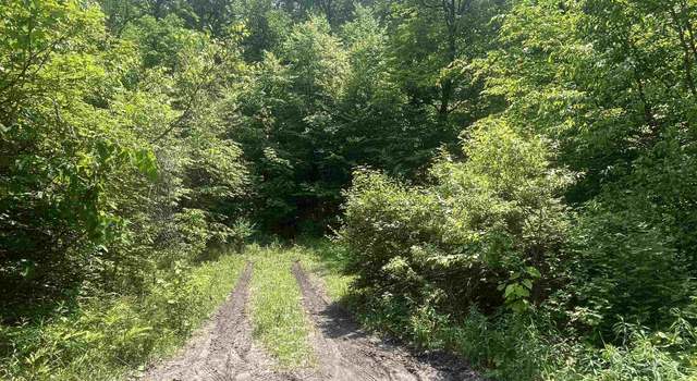 Photo of 2699 Black Pond Rd, Hubbardton, VT 05735