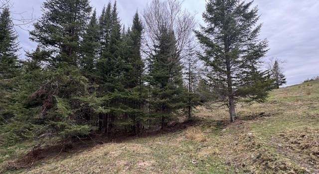 Photo of Collinsville Rd, Craftsbury, VT 05826