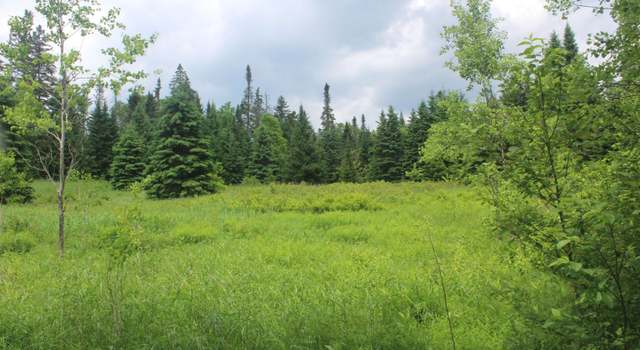 Photo of 0 Cobb Rd, Walden, VT 05873