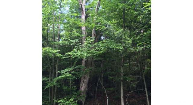 Photo of 145 Old 5A, Westmore, VT 05860