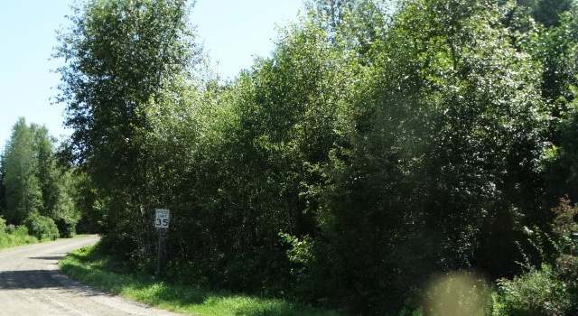 Photo of 0 Williams Rd, Morgan, VT 05853