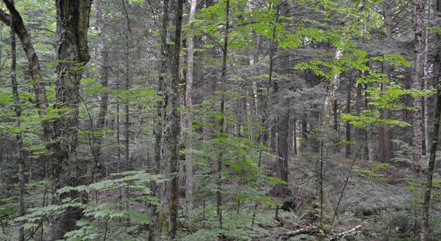 Photo of #1 Woodland Dr Lot 1, Jay, VT 05859