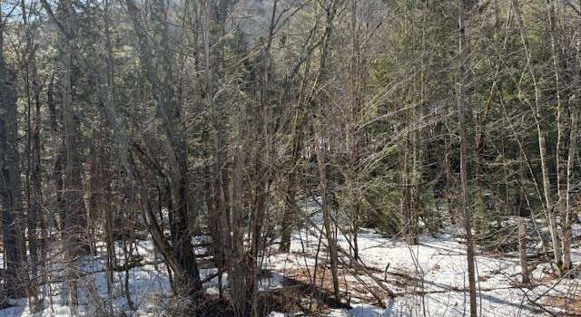 Photo of 0 Route 107, Stockbridge, VT 05772