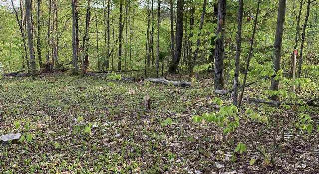 Photo of 80 Taylor Rd, Duxbury, VT 05676