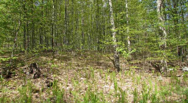Photo of 455 Valliant Pl, Corinth, VT 05039