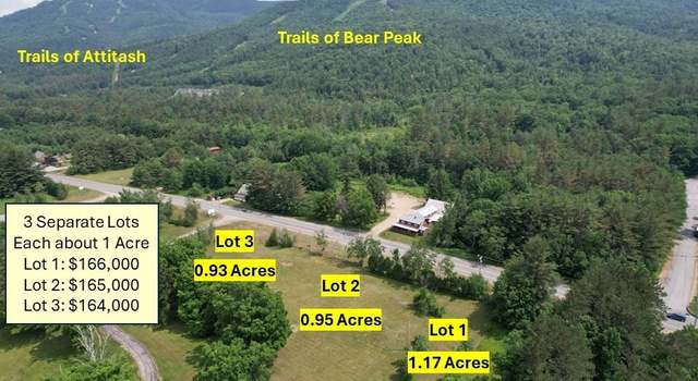 Photo of 00 US RT 302 #3, Bartlett, NH 03812