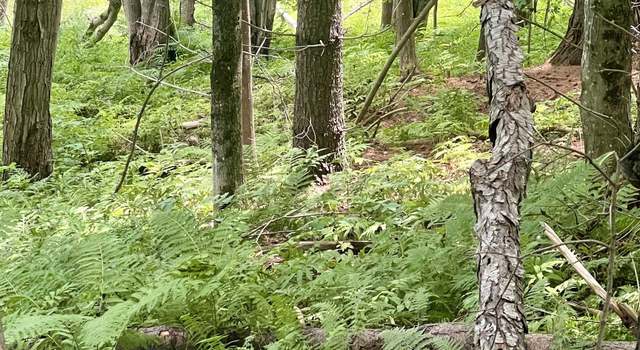 Photo of 1-3 Hill St Lot 1-3, Montpelier, VT 05601