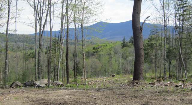 Photo of 351 Coventry Rd, Benton, NH 03785