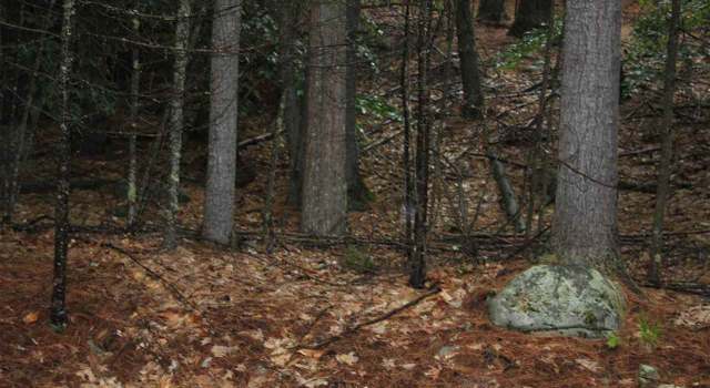 Photo of 00 Wildwood Dr #00, Moultonborough, NH 03254