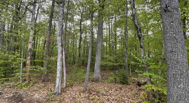 Photo of Wildcat Rd Lot 10, Barrington, NH 03825