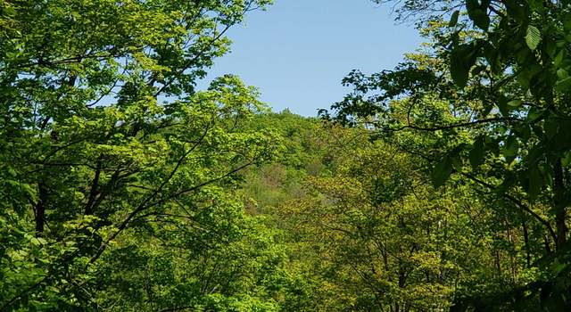 Photo of 00 Beaver Meadow Rd, Roxbury, VT 05669
