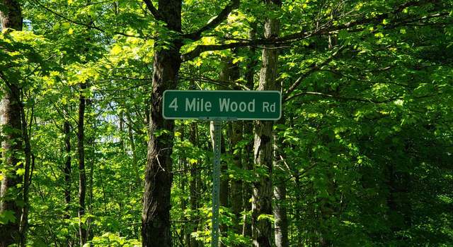 Photo of 00 Beaver Meadow Rd, Roxbury, VT 05669