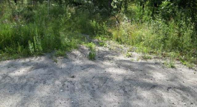 Photo of E Hill Rd, Plainfield, VT 05667