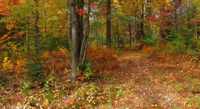 Photo of 643 Belle Vista Rd, Jay, VT 05859
