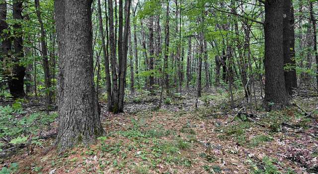 Photo of 0 Carpenter Hill Rd #073, Walpole, NH 03436