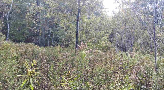 Photo of 00 W Woodbury Rd, Woodbury, VT 05681