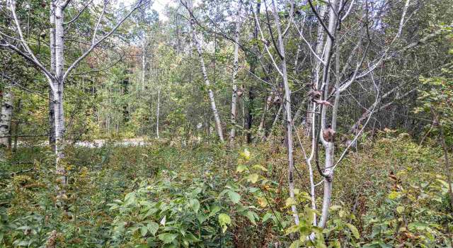 Photo of 00 W Woodbury Rd, Woodbury, VT 05681