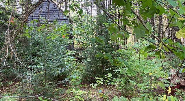 Photo of 5757 Scott Hwy, Groton, VT 05046