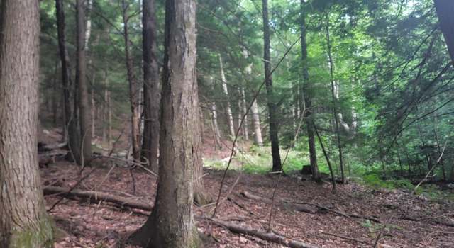 Photo of Off Bemis Hill Rd Unit 1004.000, Westminster, VT 05158