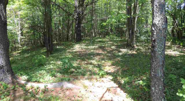 Photo of 0 VT Route 58, Lowell, VT 05847