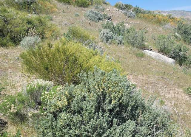 Property at 525 Prairie Dog, Reno, NV 89508