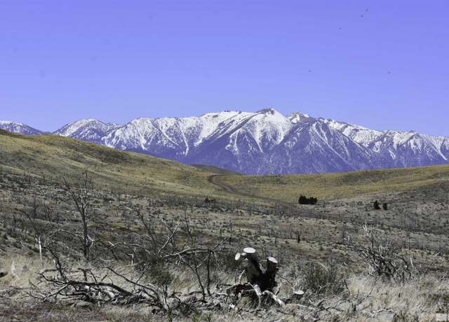 Property at TBD Parcels at Pine Nut Creek Area, Gardnerville, NV 89410