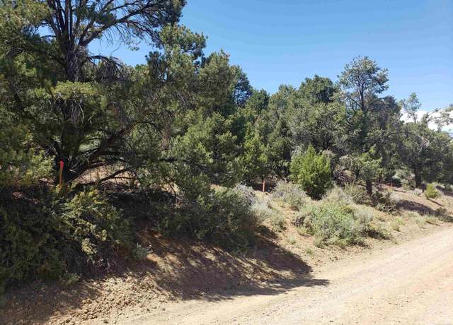Property at 21741 Clemens, Reno, NV 89521