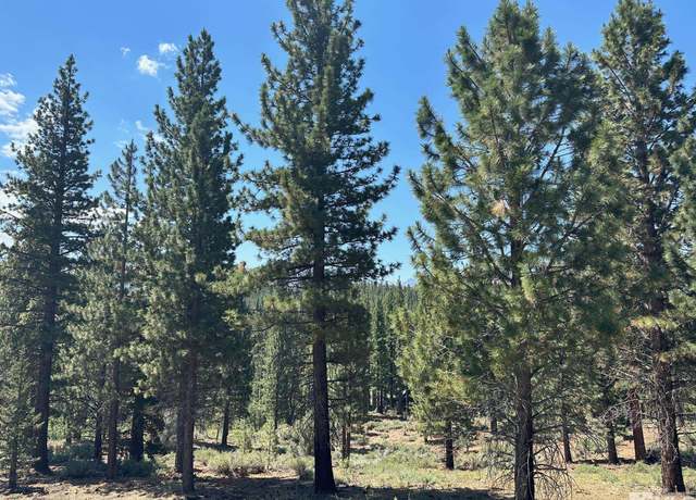 Property at Lot 2 Raymond Vw, Markleeville, CA 96120