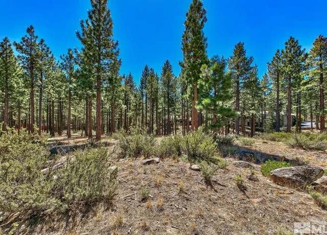 Property at 405 Yellow Pine Rd, Reno, NV 89511