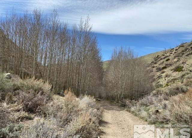 Property at TBD Minnehaha Canyon(120), Wellington, NV 89444