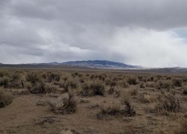 Property at 330 Eagle Pl, Smith, NV 89430