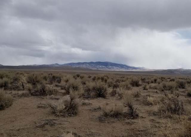 Property at 330 Eagle Pl, Smith, NV 89430
