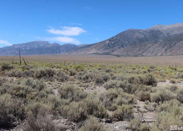 Property at 316 Gillman Springs Dr, Austin, NV 89310