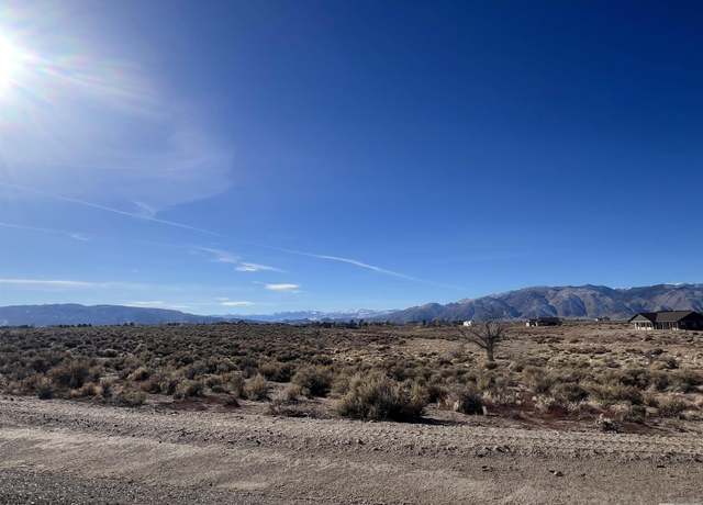 Property at 260 Mount Grant, Smith, NV 89430
