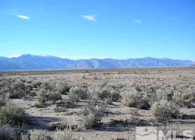 Property at 325 Ludwig, Smith, NV 89430