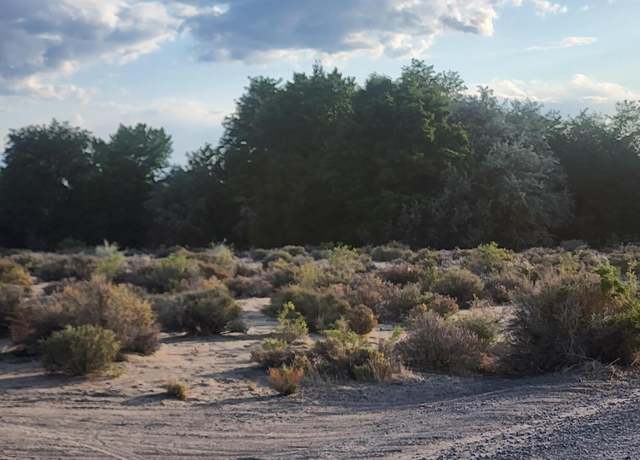 Property at 3225 Badger St, Silver Springs, NV 89429