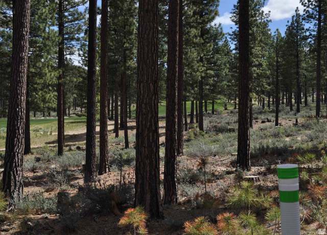 Property at 127 Walton Toll Rd, Carson City, NV 89705
