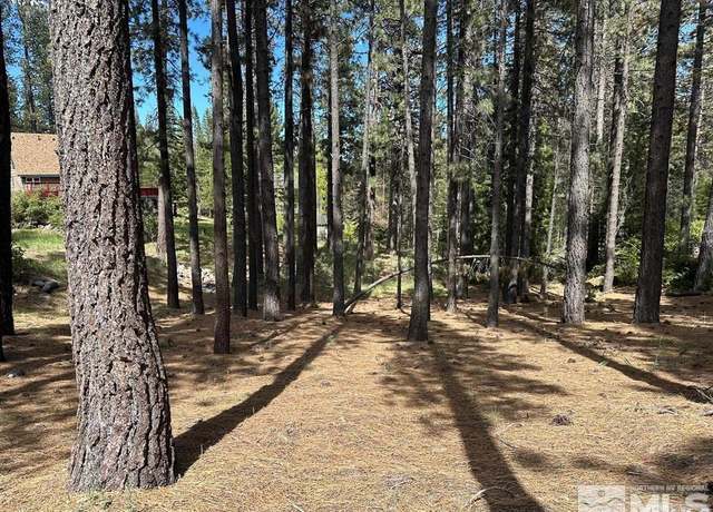 Property at 546 Pleasant Valley Rd, Markleeville, CA 96120