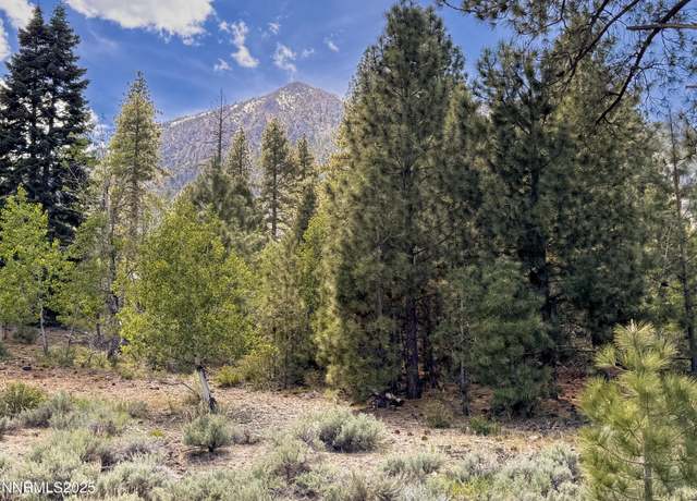 Property at 490 Nature's Edge Rd, Gardnerville, NV 89410