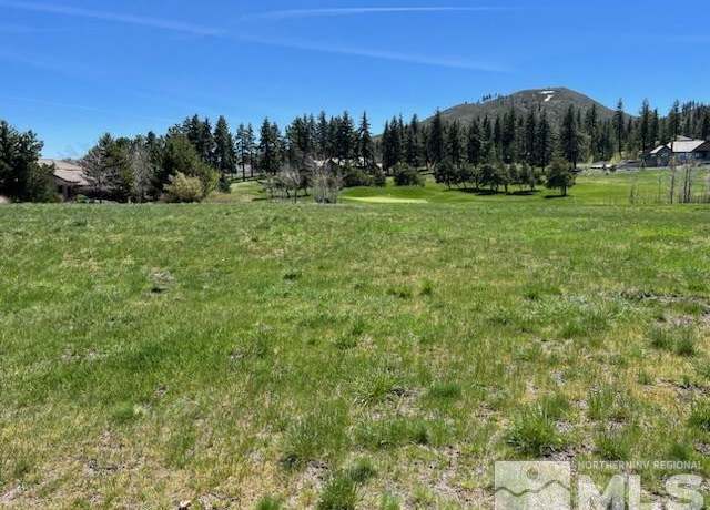 Property at 41 Lightning W Ranch Rd, Washoe Valley, NV 89704