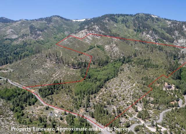 Property at 7805 Musgrove Creek Dr, Washoe Valley, NV 89704