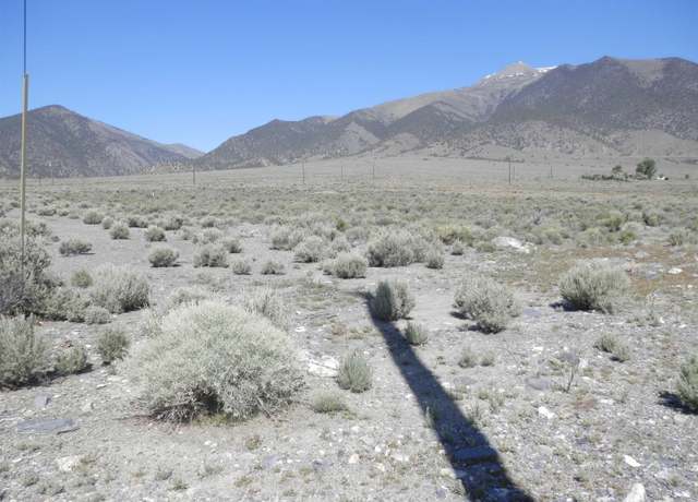 Property at 105 Tonkin Ct, Kingston, NV 89310