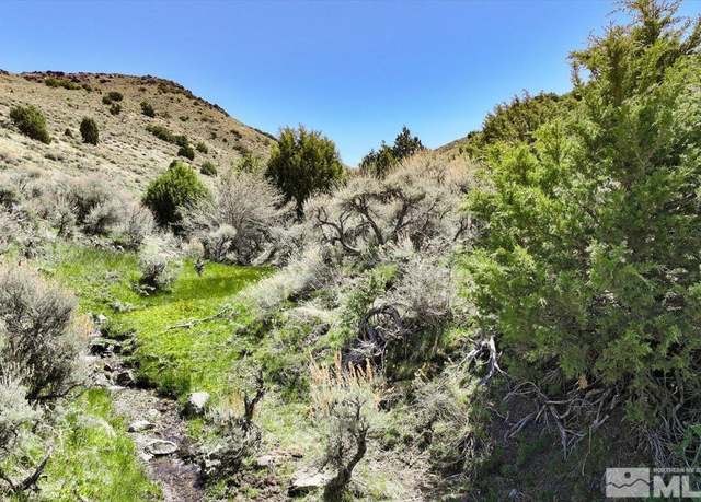 Property at 0 Pah Rah Springs Rd, Reno, NV 89510