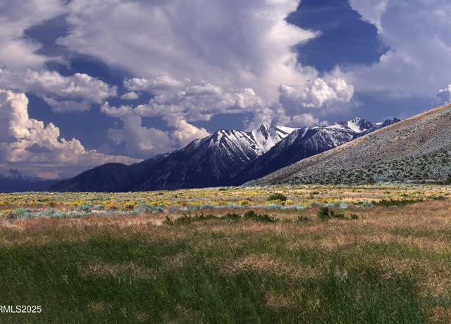 Property at 315 James Canyon Loop, Genoa, NV 89411