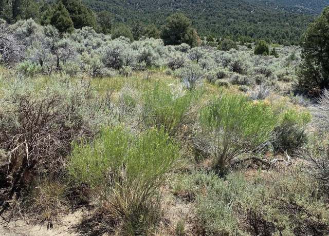 Property at tbd El Dorado Cyn, Carson City, NV 89701