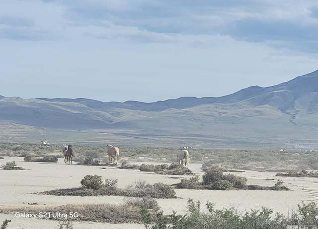 Property at APN 07416144, Reno, NV 89510