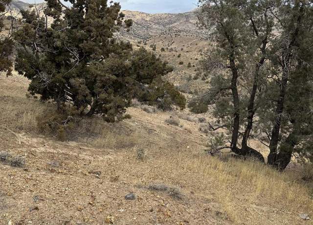 Property at 00432147 Apn 004-321-47 Trwy, Dayton, NV 89403
